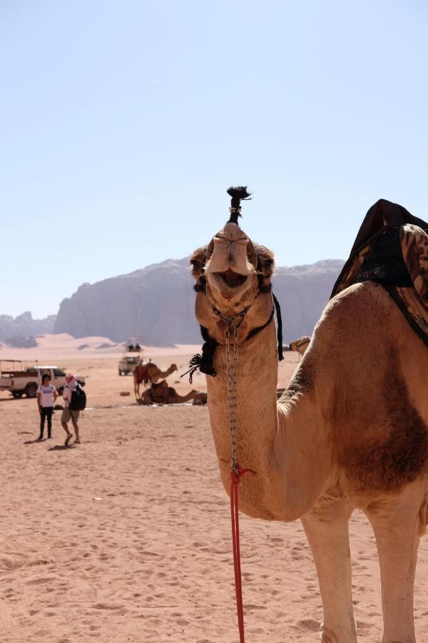 Wadirum Momoo Wadi Rum Exterior photo